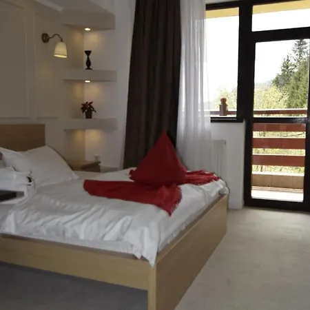 Pensiunea Clasic Guest house