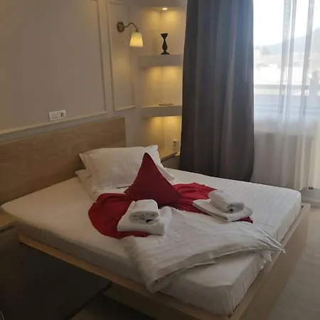 Pensiunea Clasic Guest house