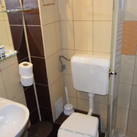 Guest house Pensiunea Clasic Busteni