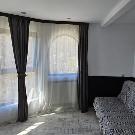 Pensiunea Clasic Guest house 3*