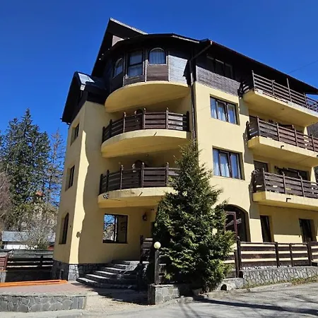 Гостевой дом Pensiunea Clasic 3*