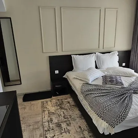 Pensiunea Clasic Guest house