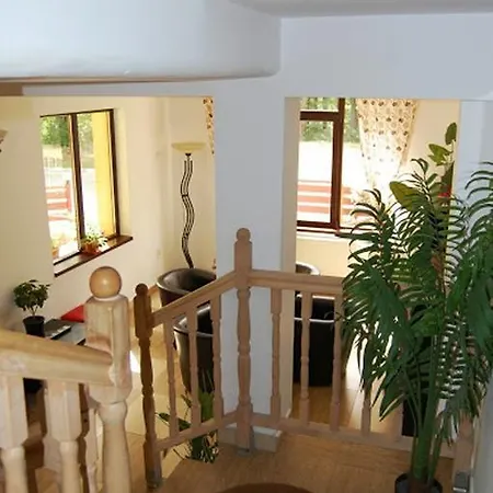 Pensiunea Clasic Guest house Busteni