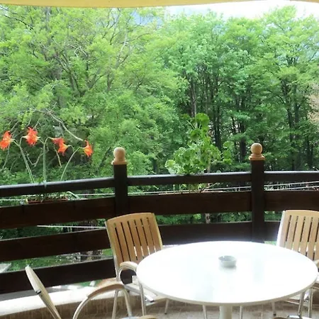 Pensiunea Clasic 3* Busteni